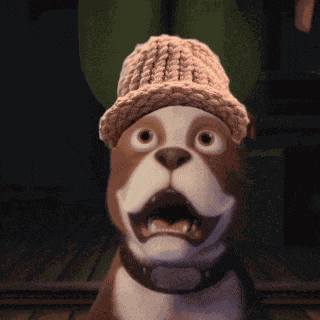 Dog Dogwifhat GIF