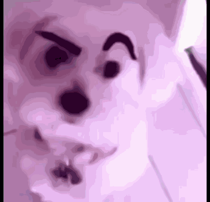 Dog Eyebrows GIF