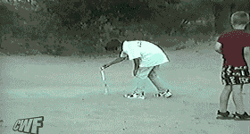 Dog Fetching Firework GIF