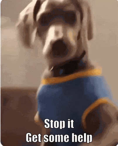 Dog Funny GIF