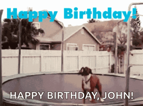 Dog Happy Birthday GIF