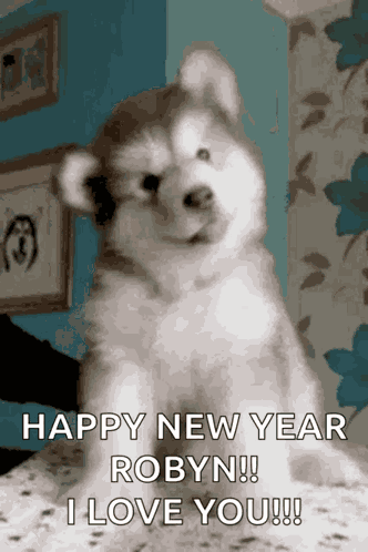 Dog GIF