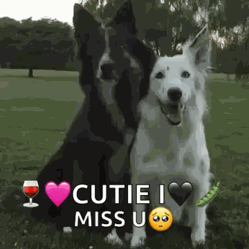 Dog Hug GIF