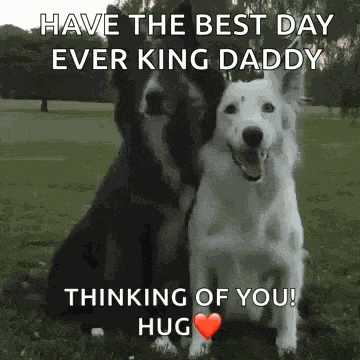 Dog Hug GIF