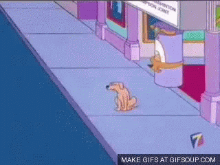 Dog Looking Around GIF