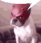 Dog Mask Sticker