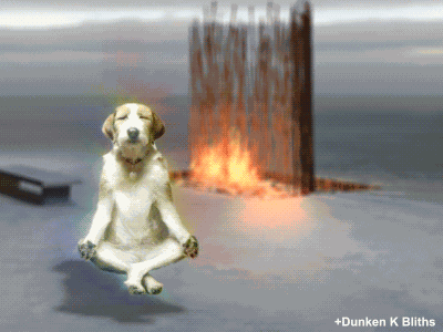 Dog Meditating Dog Floating GIF