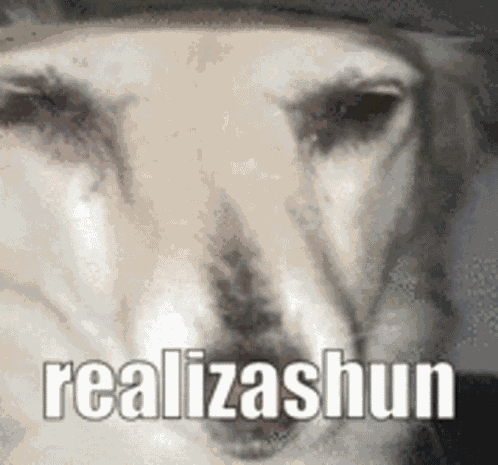 Dog Meme GIF