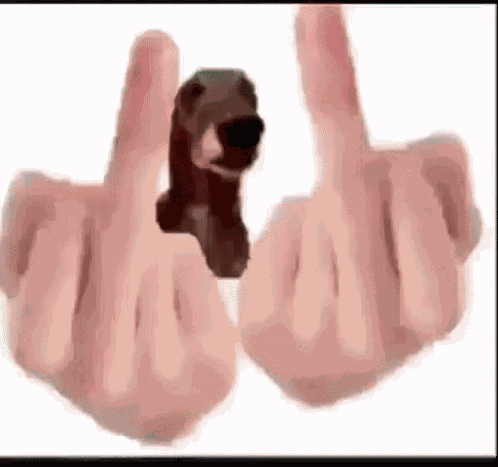 Dog Middle Finger GIF