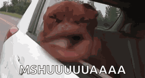 Dog Mouth GIF