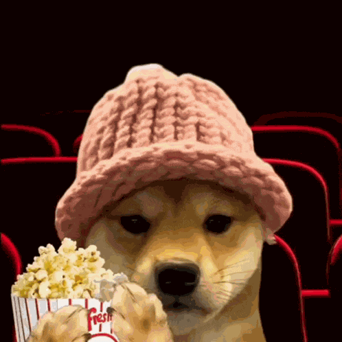 Dog Movie GIF