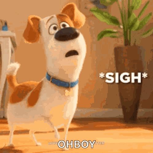 Dog Movie GIF