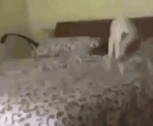 Dog Pooping On Bed Spinning Dog GIF