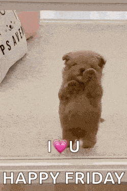Dog Puppy GIF