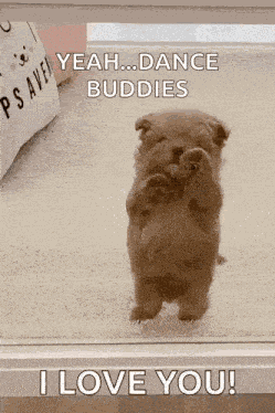 Dog Puppy GIF