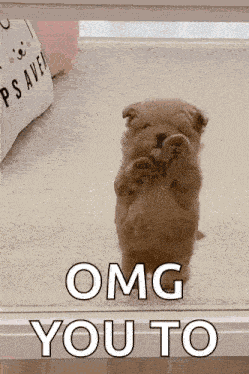 Dog Puppy GIF