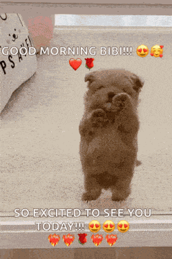 Dog Puppy GIF