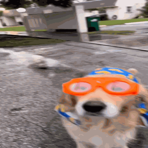 Rainy GIFs