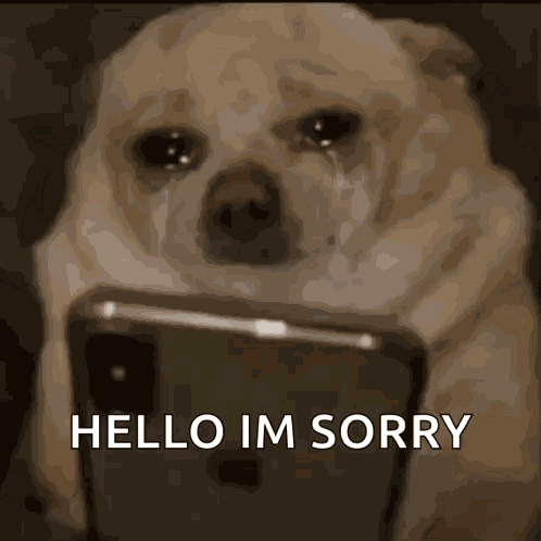 Dog Scroll GIF