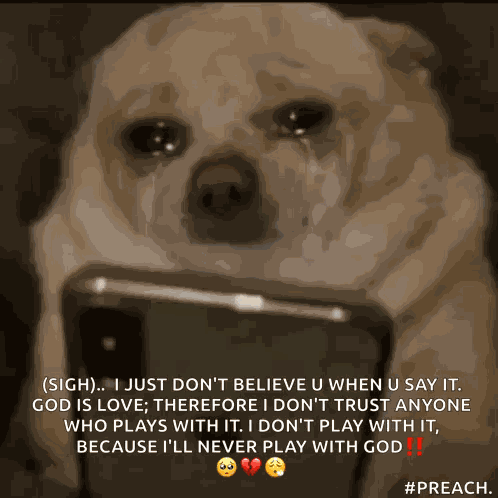 Dog Scroll GIF