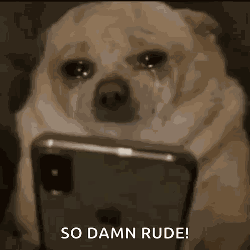 Dog Scroll GIF