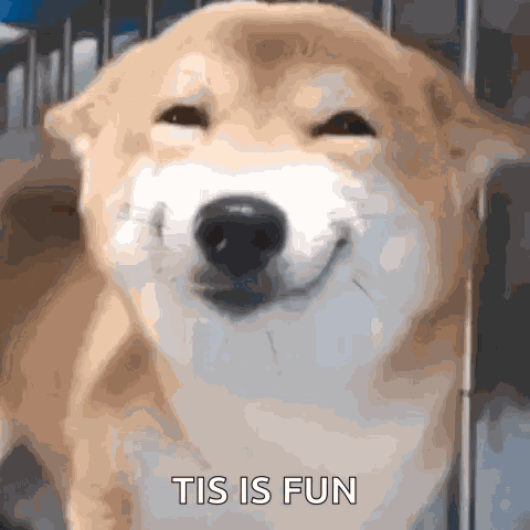 Dog Smile GIF