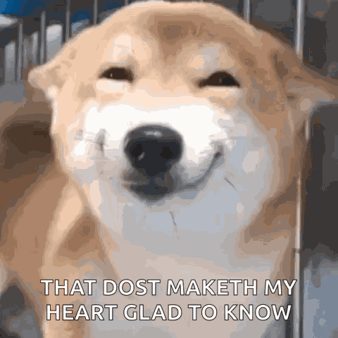 Dog Smile GIF