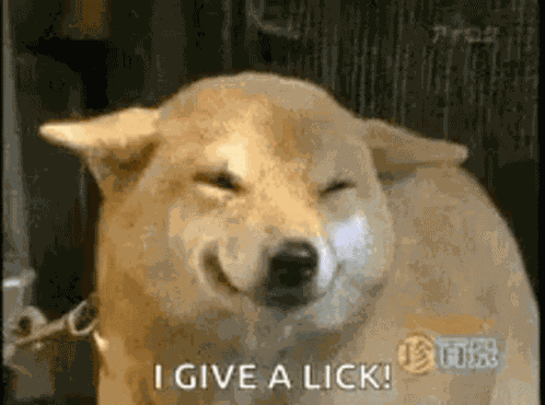 Dog Smile GIF
