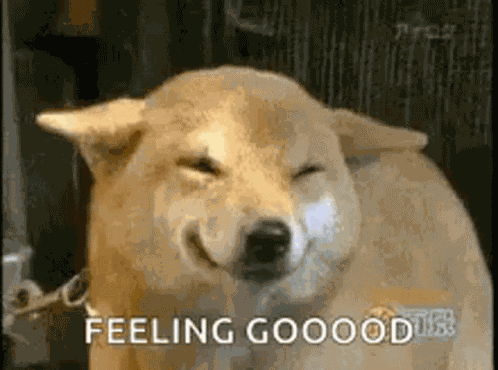 Dog Smile GIF