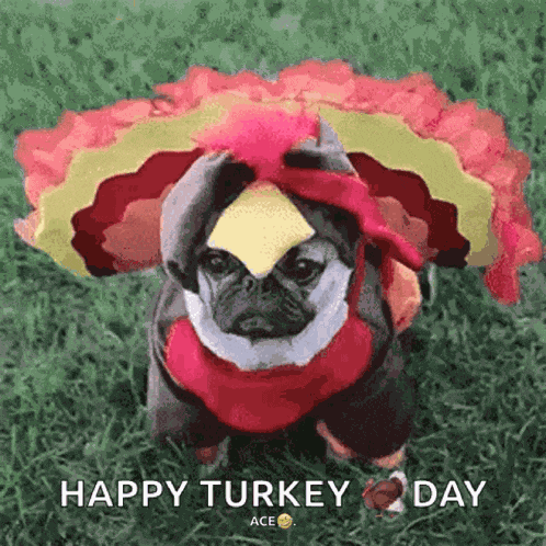 Dog Thanksgiving GIF