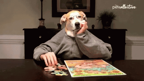 Dog The Pet Collective GIF