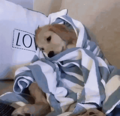 Dog Tired GIF
