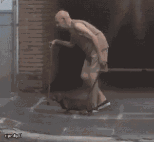 Dog Walk GIF