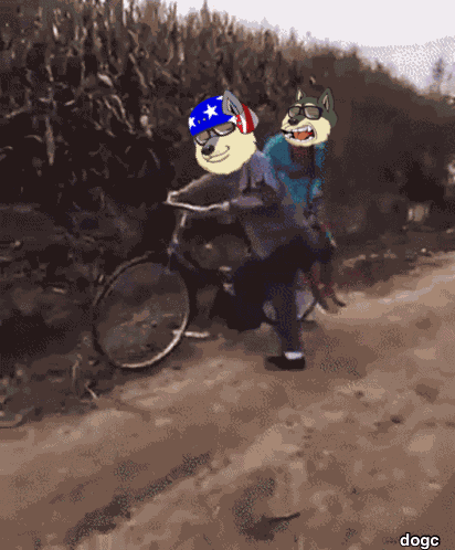 Dogc Doge GIF