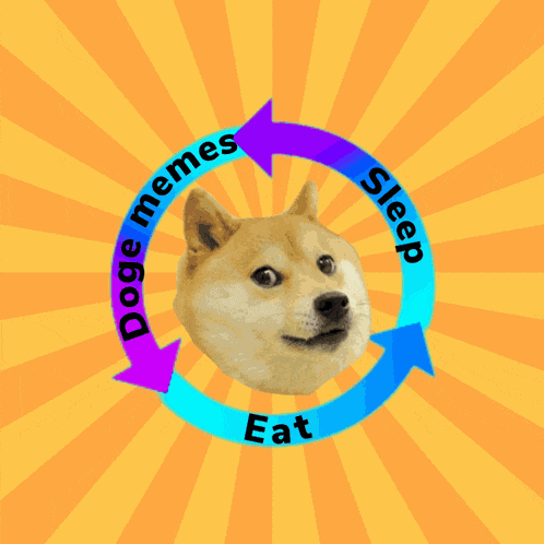 Doge Doge Meme GIF