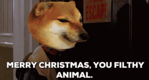 Doge Dogecoin GIF