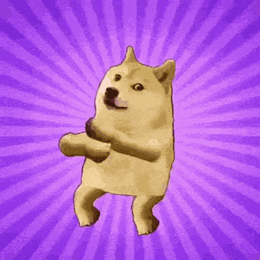 Doge GIF