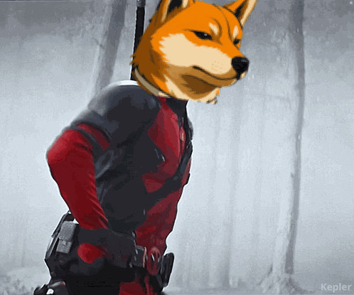 Doge Nakago GIF