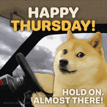 Doge Own The Doge GIF