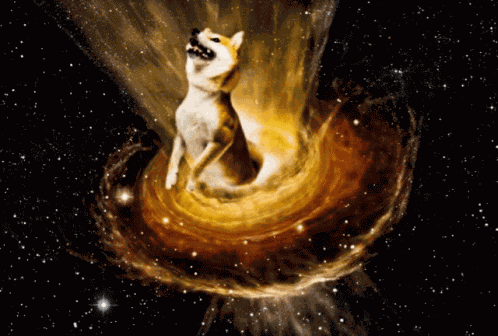Doge Universe GIF