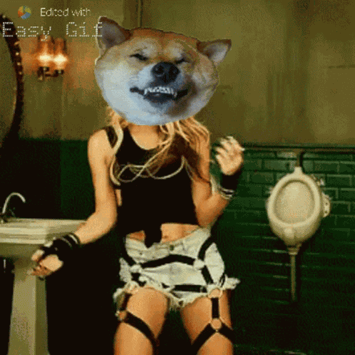 Dogecoin Celebrate GIF