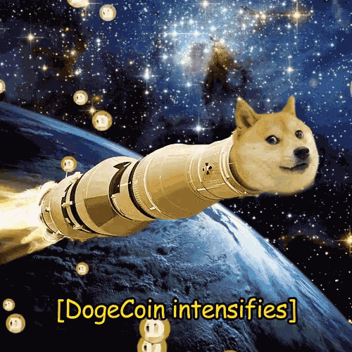 Dogecoin Wow GIF