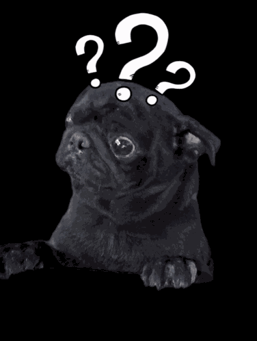 Doggy Crying Dog Cry GIF