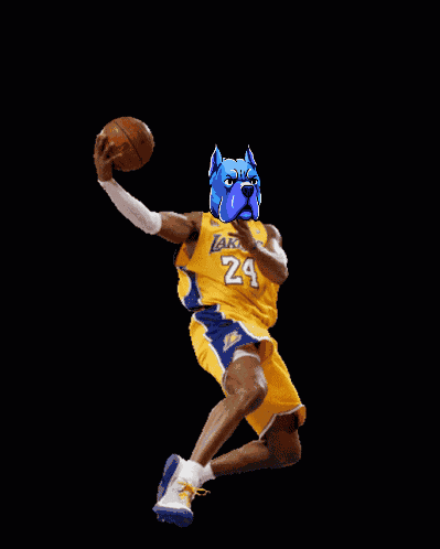 Doginme Kobe GIF