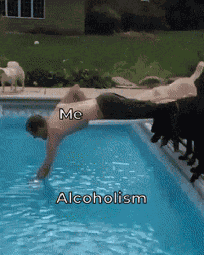 Dogs Alcohol GIF