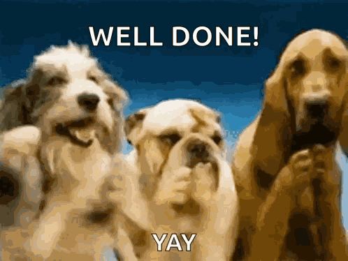 Dogs Clap GIF