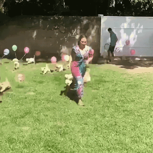 Dogs Happy Birthday GIF