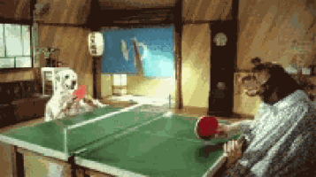 Dogs Ping Pong GIF