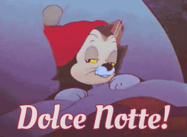 Dolce Notte Buonanotte Buona Notte Dormi Bene Sogni D’oro Sonno Assonnata Assonnata GIF