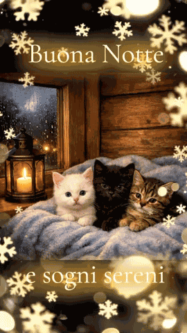 Dolce Notte Buonanotte Sogni D'Oro GIF